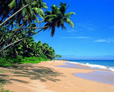 Les plages du Sud - Sri Lanka