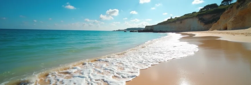 que-faire-sur-les-plages-de-l-ile-de-re-pour-un-sejour-nature-et-detente